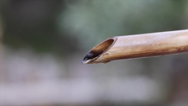 传统竹管的水滴慢动作 高质量的4K镜头 — 图库视频影像
