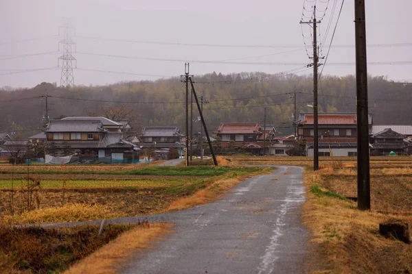 Narrow Road Golden Fields Small Japanese Village Rainy Day High — Stockfoto