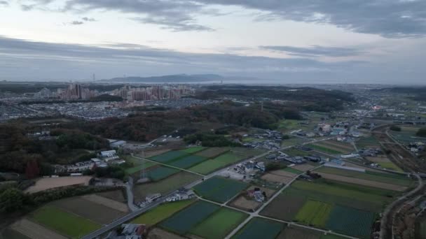 Small Roads Cut Rice Fields Farms Akashi City High Quality — Vídeo de stock