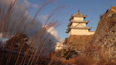 Dry winter grass and Japanese castle atop stone wall in golden light. High quality 4k footage