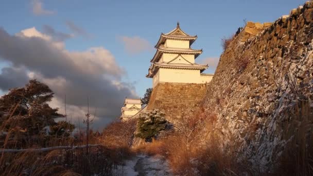 Walking Movement Japanese Castle Golden Morning Light High Quality Footage — Wideo stockowe