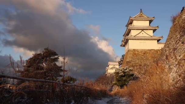 Stationary View Historic Japanese Castle Snowy Winter Morning High Quality — Wideo stockowe