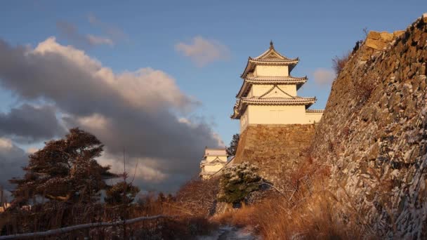 Historic Akashi Castle Ancient Stone Walls Snowy Winter Day High — Stockvideo