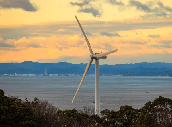 Wind Turbine Generating Clean Green Electricity Coast Sunset High Quality — Stockfoto