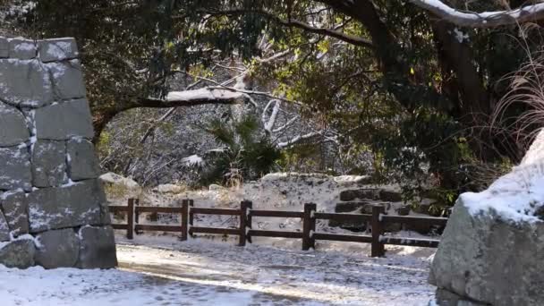Golden Morning Light Ancient Stone Walls Snow Covered Walking Path — Stockvideo