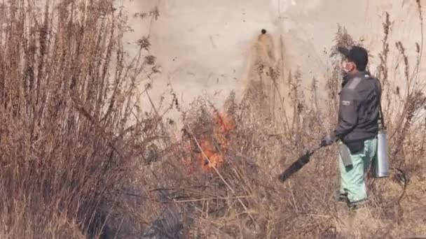 Tűzoltó Lángszóróval Irányított Tüzet Gyújt Hogy Magas Füvet Égessen Földeken — Stock videók