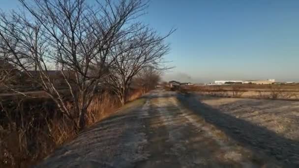 Kora Reggeli Vezetés Fagyos Földúton Csupasz Fák Mellett Téli Tájban — Stock videók