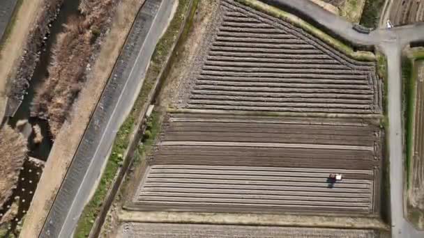 Aerial View Small Tractor Plowing Rows Dry Unplanted Rice Fields — Video