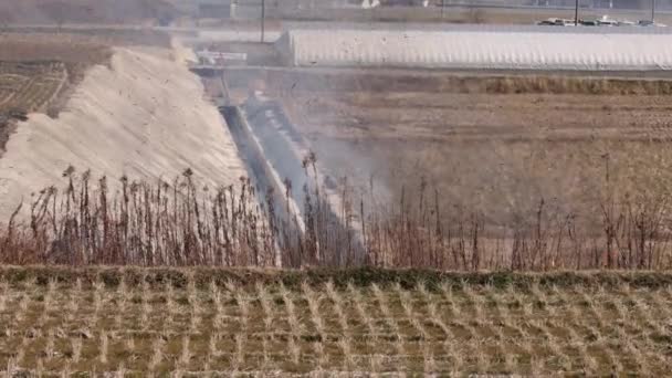 Přesun Kouřového Ohně Rýžových Polí Činžáku Městě Vysoce Kvalitní Záběry — Stock video