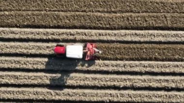 Küçük bir çiftlikteki kuru tarlada traktör sürüşünün havadan aşağı görüntüsü. Yüksek kalite 4k görüntü