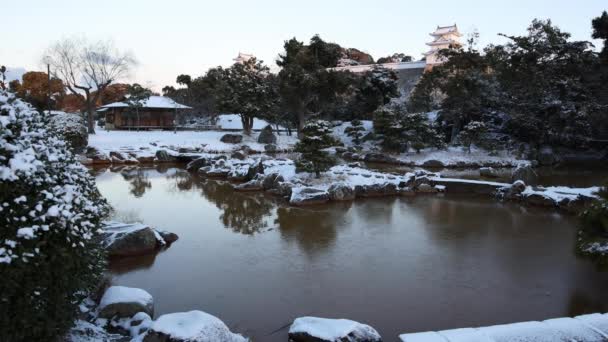 Stationary View Partially Frozen Pond Snowy Landscape Castle Park High — Vídeo de stock