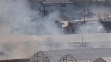 Alevler ve duman, seralar ve evler tarafından yakılan ateşlerden yükselir. Yüksek kalite 4k görüntü