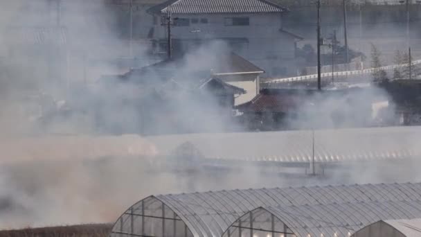 Chamas Fumaça Surgem Fogo Queimado Por Estufas Casas Por Fazenda — Vídeo de Stock