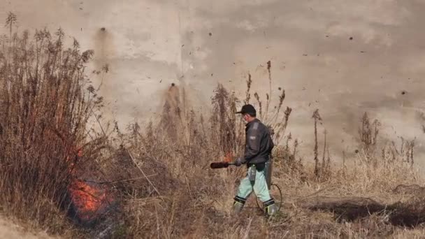 Пожарный Огнемётом Устанавливает Линию Огня Сухом Травянистом Поле Высококачественные Кадры — стоковое видео
