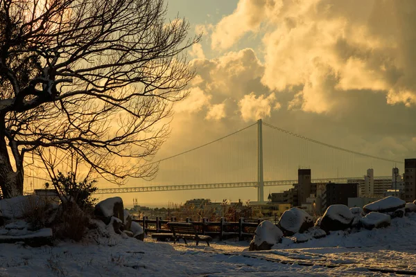 Snow covered park bench in light at sunrise with city and bridge in background. High quality photo