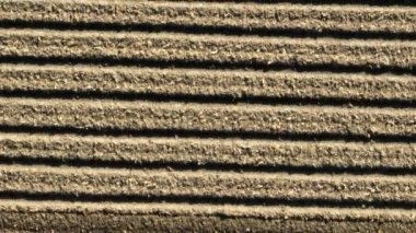Aerial top down view of dry soil plowed in rows on farm field before planting. High quality 4k footage
