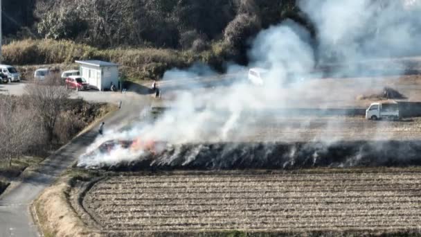 Smoke Flames Rise Controlled Burn Plowed Rows Unplanted Field High — Stockvideo