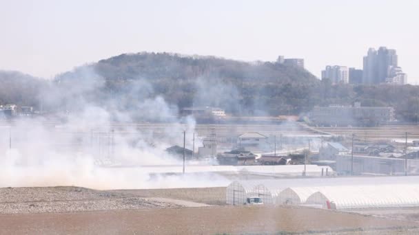 Heavy Smoke Air Burning Fields Farms Suburban Neighborhood High Quality — ストック動画