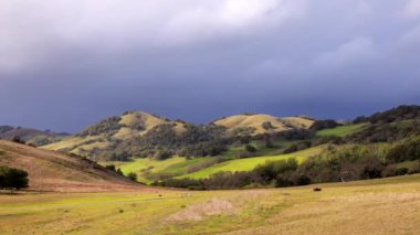 Intense precipitation falls on Mt. Burdell in Marin County, California. High quality 4k footage