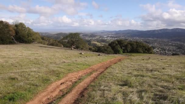 Dirt Trail Green Grass Northern California Landscape Sunny Day High — Stock Video