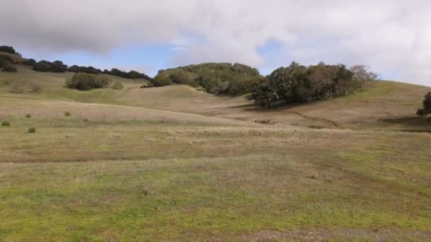 Inclinato Verdi Colline Erbose Rotolamento Paesaggio Della California Del Nord — Video Stock