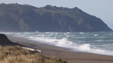 Point Reyes, California 'daki dik kayalıklardan Pasifik Okyanusu' ndan kumlu plaja dalgalar akıyor. Yüksek kalite 4k görüntü