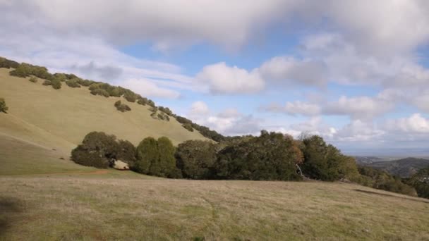Panela Colinas Verdes Para Trilha Terra Através Paisagem Norte Califórnia — Vídeo de Stock