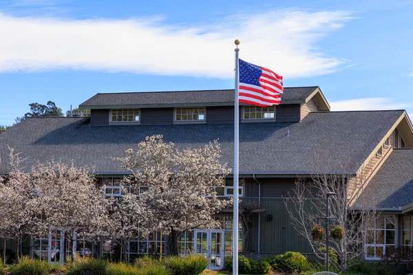 Amerikaanse Vlag Vliegt Door Kersenboom Bloesems Lokale Gemeenschap Centrum Voorjaarsdag — Stockfoto
