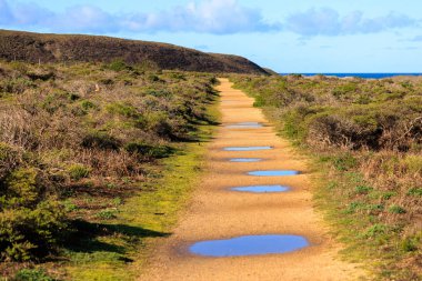 Kuzey Kaliforniya 'daki sahil parkında su birikintileri var. Yüksek kalite fotoğraf