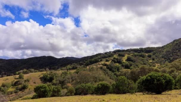 Időeltolódás Felhők Zöld Dombok Felett Mozognak Észak Kaliforniában Kiváló Minőségű — Stock videók