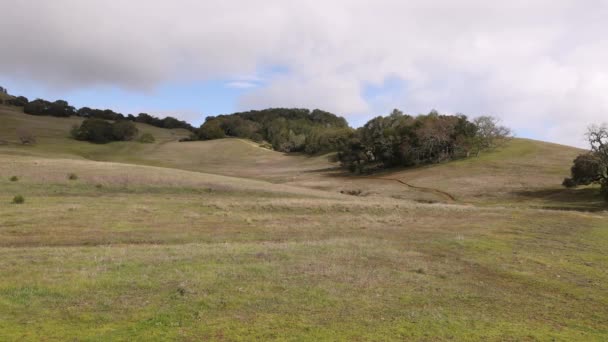 Zelené Travnaté Kopce Zvlněné Krajině Severní Kalifornie Vysoce Kvalitní Záběry — Stock video