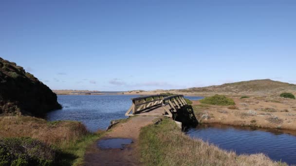 Ξύλινη Γέφυρα Πάνω Από Γλυκό Νερό Στο Μονοπάτι Προς Αμμόλοφους — Αρχείο Βίντεο
