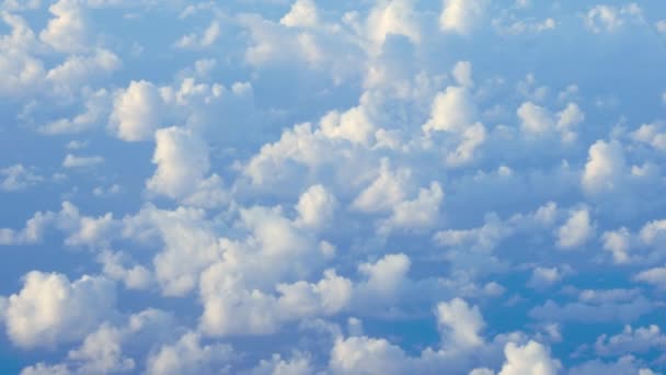 Magasan Repülnek Fehér Puffadt Felhők Felett Kék Égen Kiváló Minőségű — Stock videók