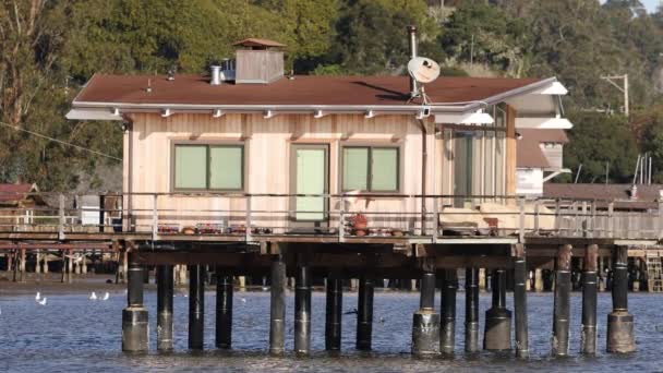 Piccola Casa Rialzata Palafitte Sopra Linea Galleggiamento Nella California Costiera — Video Stock