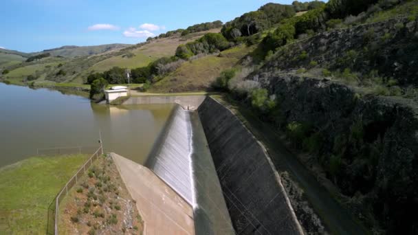 Water Stroomt Van Het Volledige Reservoir Naar Beneden Het Groene — Stockvideo