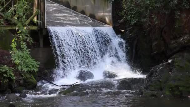 Вода Каскадом Спускается Проливной Дорожке Скалистому Природному Бассейну Лесу Высококачественные — стоковое видео