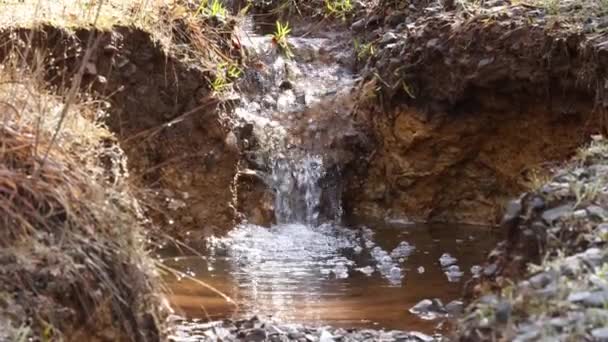 Спуск После Дождя Делает Небольшой Водопад Бассейн Грязном Ручье Высококачественные — стоковое видео