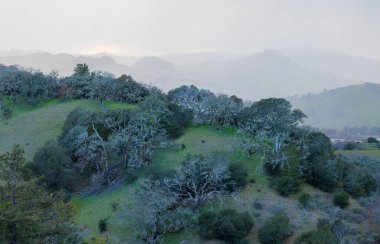 Yeşil Kaliforniya manzarasındaki sisli tepelerin hava manzarası. Yüksek kalite fotoğraf