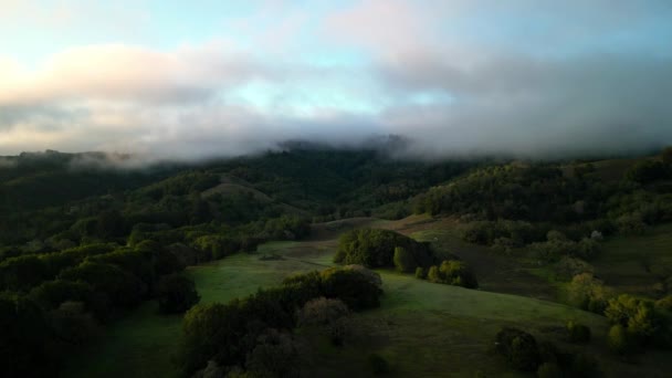 日の出に北カリフォルニアの緑の丘陵地帯で朝の霧と光 高品質4K映像 — ストック動画