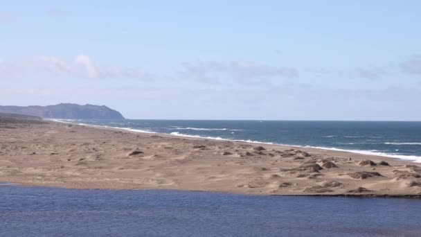 Спокойный Лагунный Песчаный Пляж Скалами Пойнт Рейес Вдали Высококачественные Кадры — стоковое видео