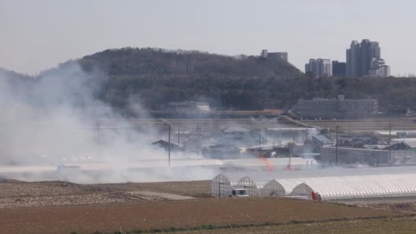 大火所产生的烟雾在农村地区的温室和田野上空升起 高质量的4K镜头 — 图库视频影像