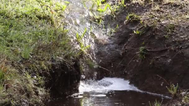 Odpływ Wody Deszczowej Trawie Błocie Sprawia Mały Strumień Wodospadu Wysokiej — Wideo stockowe