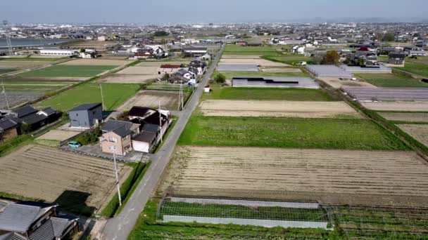 Aerial View Suburban Homes Rice Fields Edge Sprawling Town Sunny — Stock Video