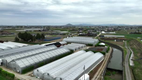 Vista Aérea Estufas Pequena Fazenda Campo Japonês Imagens Alta Qualidade — Vídeo de Stock