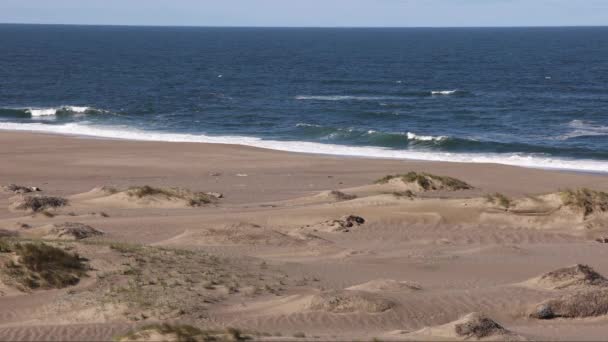 Petites Dunes Sur Une Plage Sable Vide Alors Que Les — Video