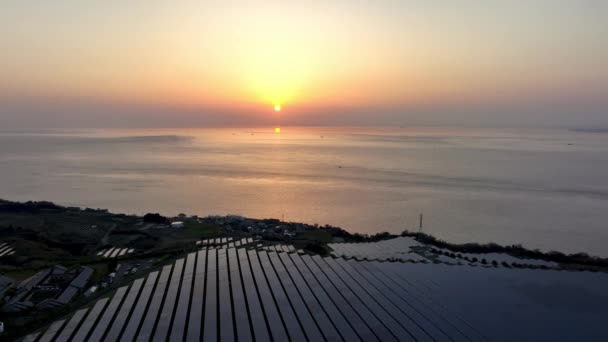 Солнце Садится Над Океаном Свет Отражается Панелей Прибрежной Солнечной Ферме — стоковое видео