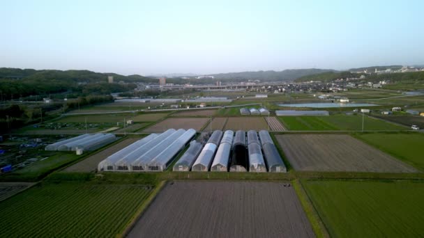 田舎の小さな農場に耕された畑によって温室の列を飛び越えています 高品質4K映像 — ストック動画