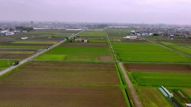 Tarlaların ve yeşil tarlaların üzerinde uçuyor. Şehir yolundaki trafik ışığı altında. Yüksek kalite 4k görüntü