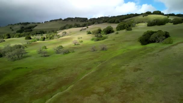 Vliegen Wandelpaden Groene Californische Heuvels Bewolkte Regenachtige Dag Hoge Kwaliteit — Stockvideo