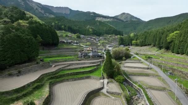 Levantamiento Sobre Campos Arroz Terrazas Arados Pequeño Pueblo Montaña Japonés — Vídeo de stock